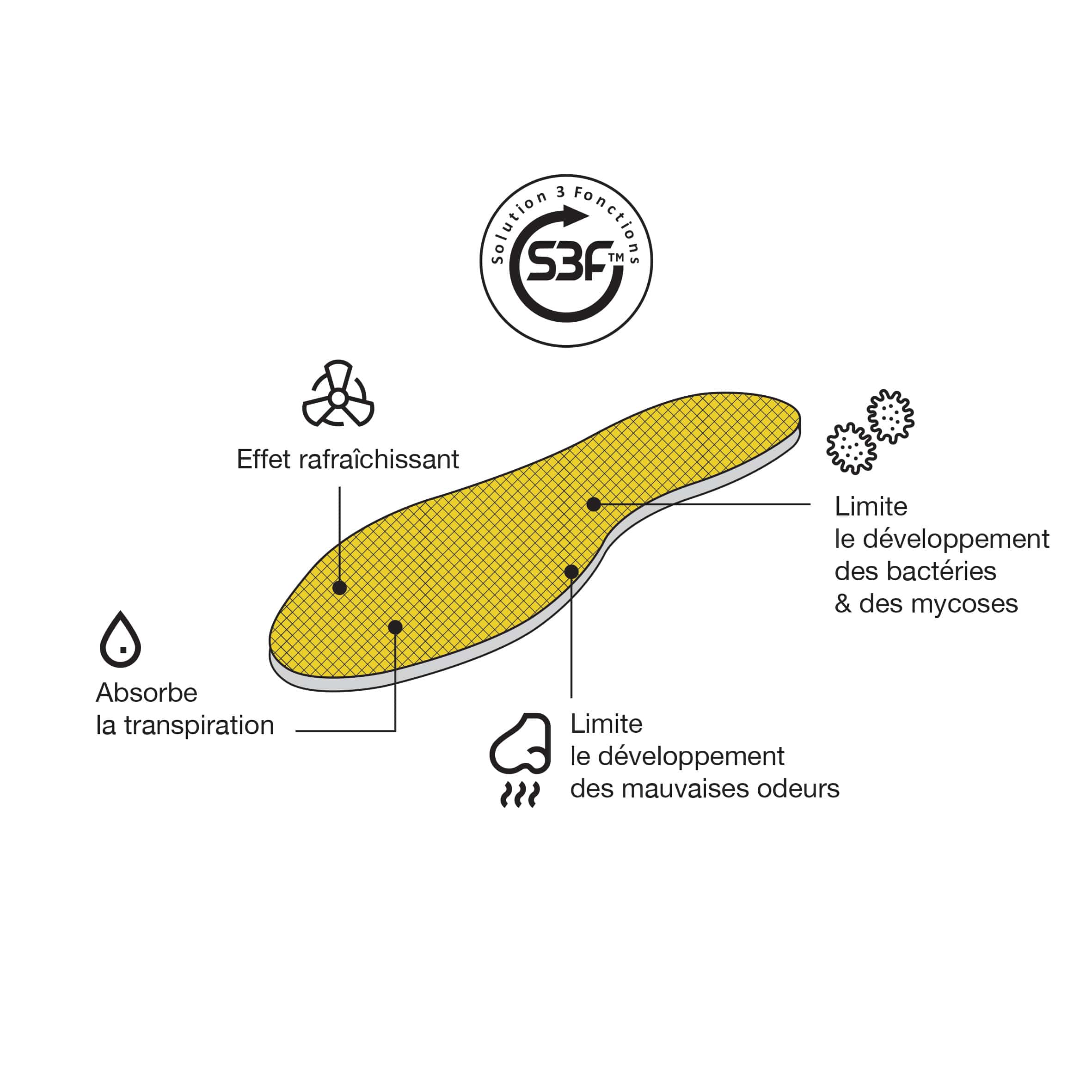 Schéma explicatif S3F JLF Pro